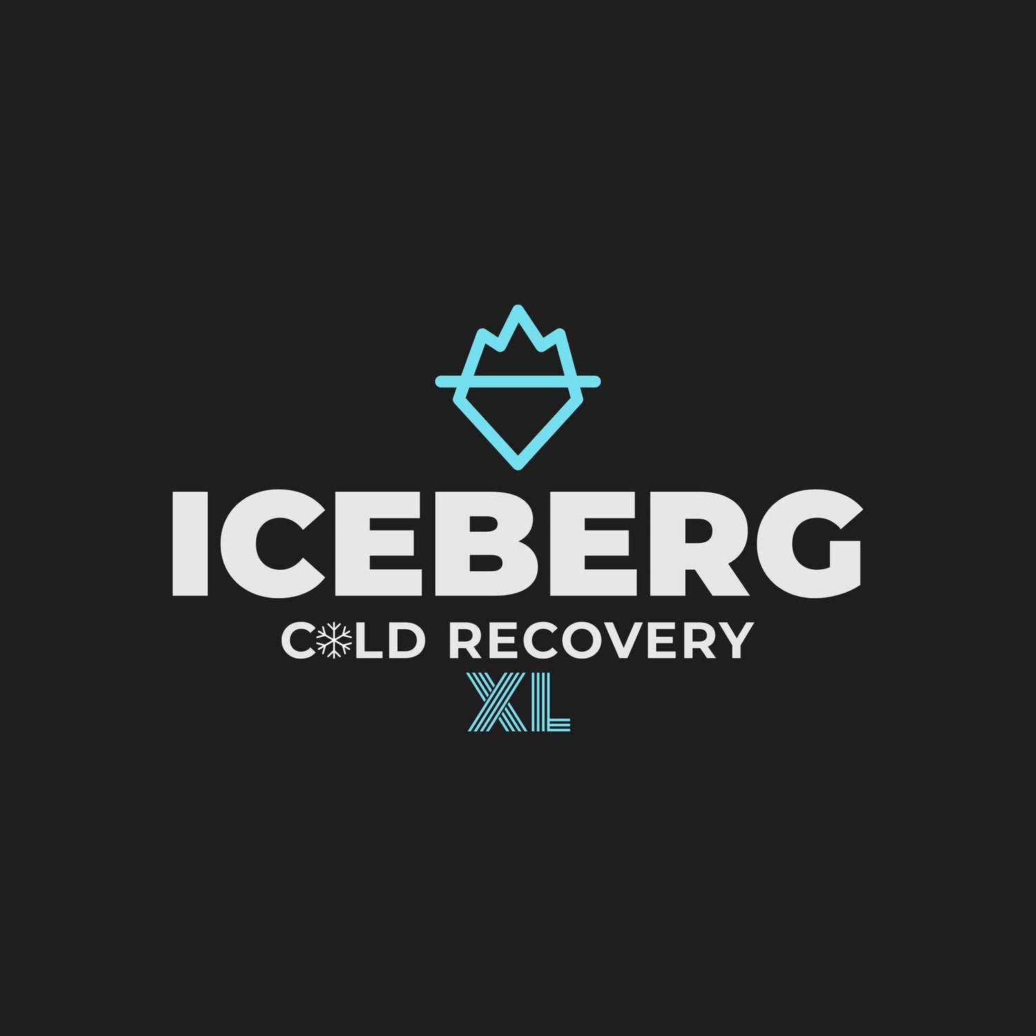 ICEBERG Recovery