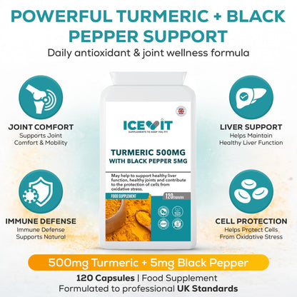 Turmeric 500 mg with Black Pepper benefits card highlighting daily wellness support